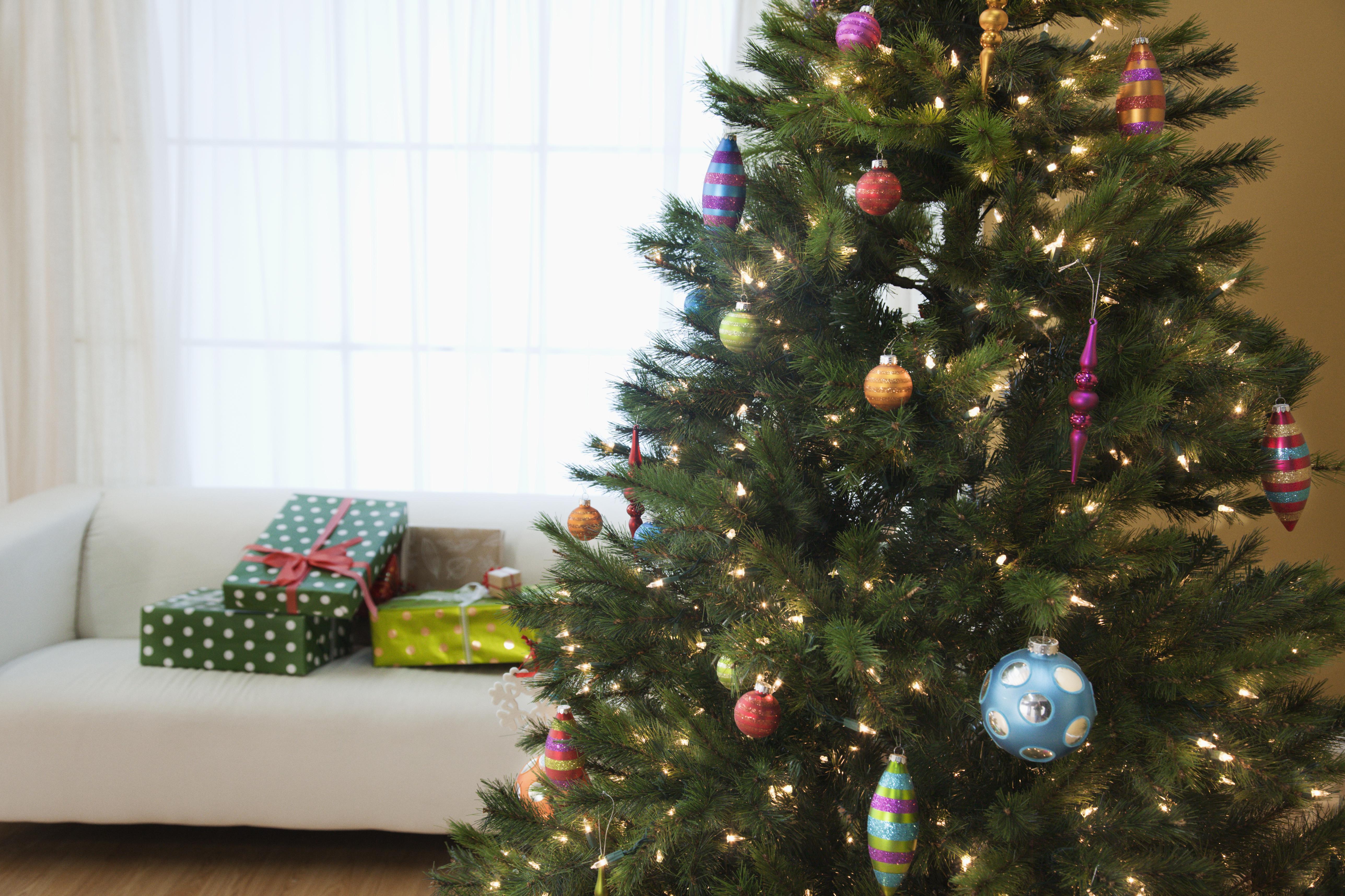 Christmas tree in living room