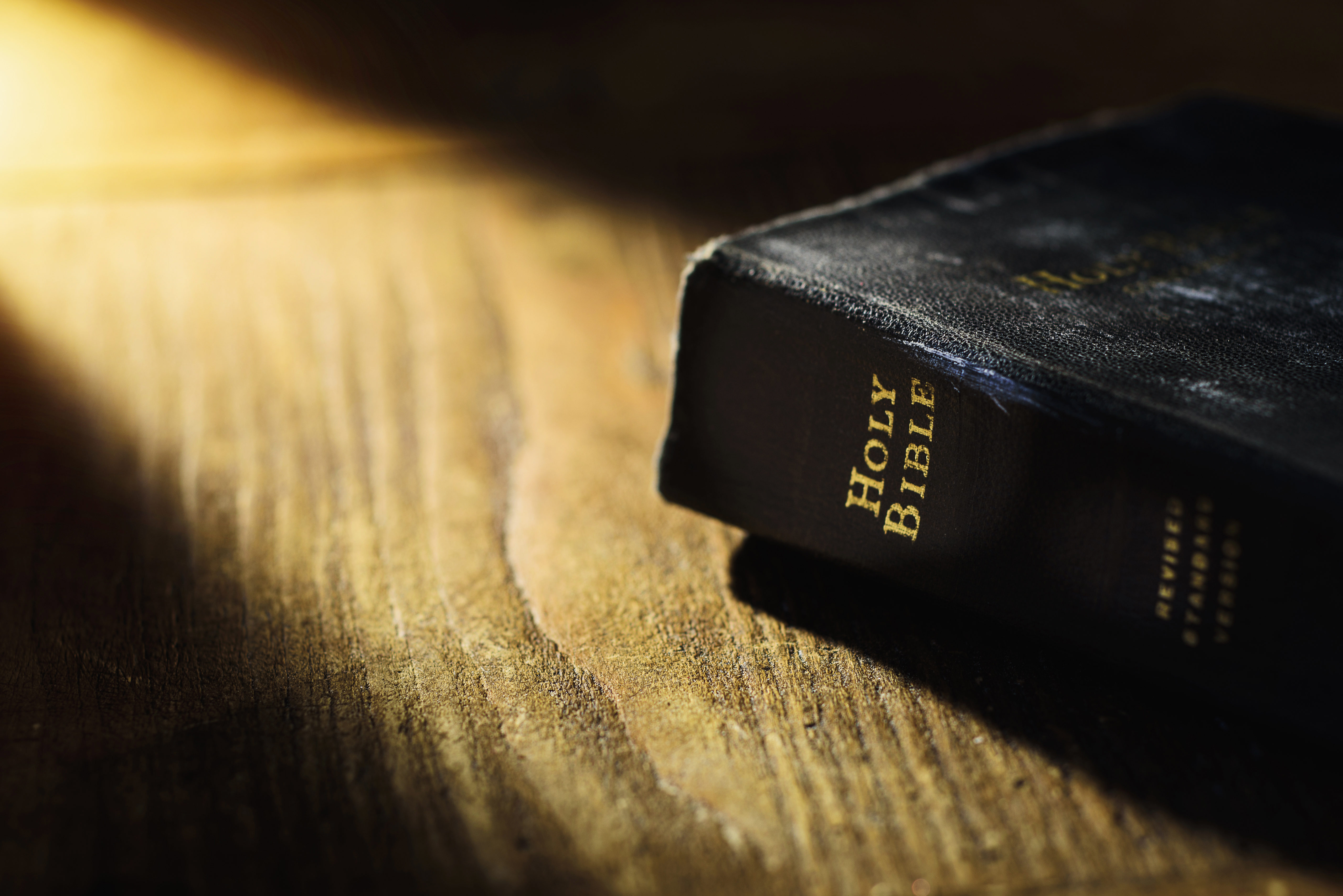 Holy Bible