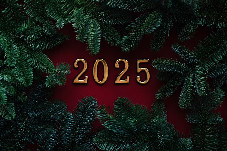 New Year 2025. Happy New Year. Christmas holiday. Numbers of the New Year 2025 on a plain background with Christmas tree branches. Festive background.